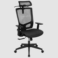 Flash Furniture Ergonomic Mesh Office Chair with Synchro-Tilt, Pivot Adjustable Headrest, Lumbar Support, Coat Hanger and Adjustable Arms